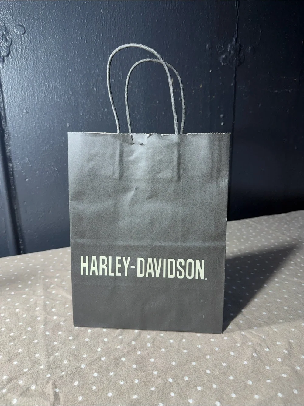 Harley-Davidson Black Paper Gift Bag with White Logo